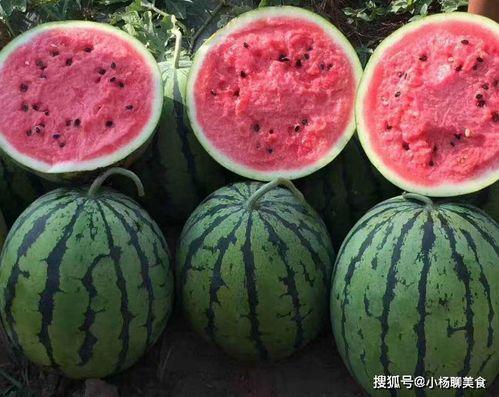 在线吃瓜免费看,畅享娱乐盛宴  第3张