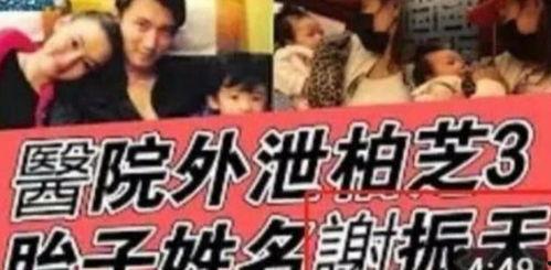 三胎吃瓜娱乐圈,明星家庭新篇章  第2张