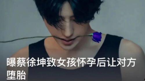蔡徐坤妈妈录音爆料视频,揭秘明星背后的家庭故事 第3张 蔡徐坤妈妈录音爆料视频,揭秘明星背后的家庭故事 第3张