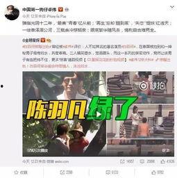 台湾陈芮芹爆料事件视频,揭秘背后惊人真相