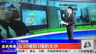 辽宁电视台新闻爆料,揭秘某重大事件背后真相