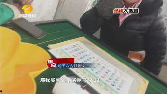 麻将老板爆料视频大全集,揭秘麻将界不为人知的秘密与内幕  第2张