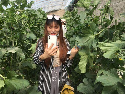 新疆吃瓜网红叫什么名子,瓜界新宠子的崛起之路