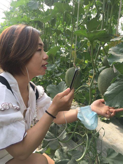 新疆吃瓜网红叫什么名子,瓜界新宠子的崛起之路 第3张 新疆吃瓜网红叫什么名子,瓜界新宠子的崛起之路 第3张