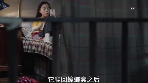 蛇姐被人爆料视频,揭秘背后真相与争议 第2张 蛇姐被人爆料视频,揭秘背后真相与争议 第2张
