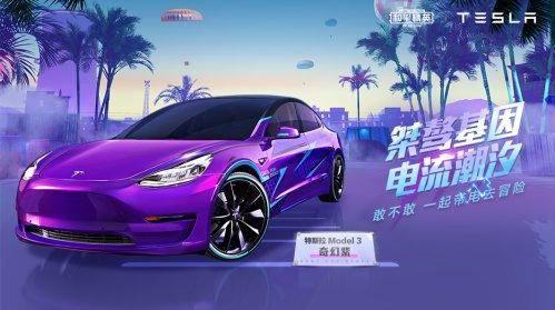 精英车皮最新爆料,揭秘豪华车界神秘面纱  第3张
