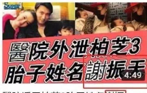 娱乐吃瓜名字怎么取,揭秘明星幕后故事  第2张