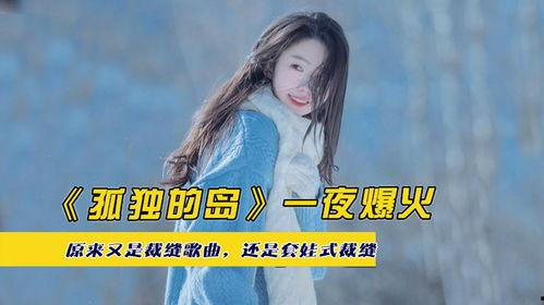 裁缝歌曲爆料视频,幕后故事与音乐魅力  第2张