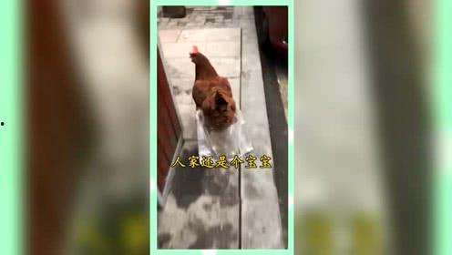 娱乐吃瓜群众素材图片,明星幕后故事大揭秘  第2张
