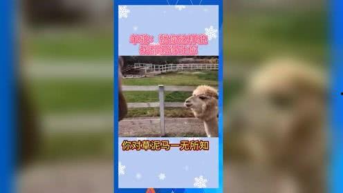 娱乐吃瓜群众素材图片,明星幕后故事大揭秘  第3张