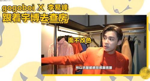峰哥爆料完整视频大全,完整视频大全深度解析
