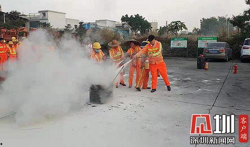 养鸡爆料深圳新闻,揭秘深圳鸡场背后的惊人真相 第3张 养鸡爆料深圳新闻,揭秘深圳鸡场背后的惊人真相 第3张