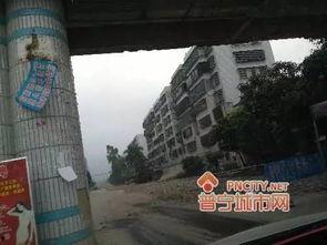 普宁今日爆料,揭秘今日热点事件  第2张