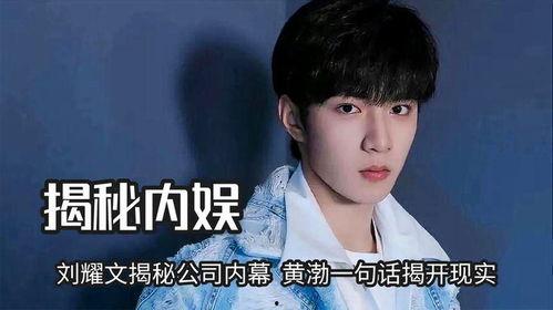 娱乐圈内幕爆料刘耀文,揭秘明星背后的真相  第2张