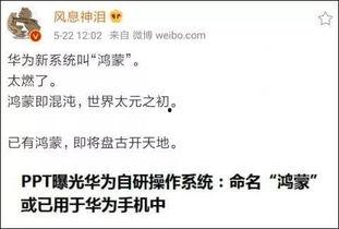 大乐透内部员工爆料最新,揭秘中奖秘诀与幕后真相 第3张 大乐透内部员工爆料最新,揭秘中奖秘诀与幕后真相 第3张