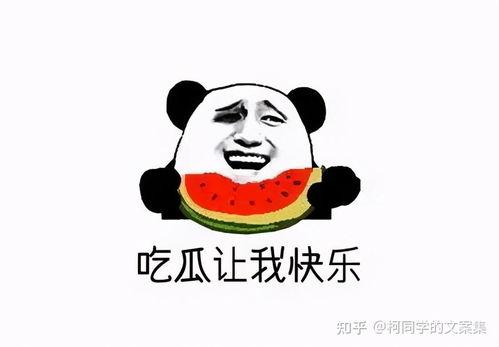 带着我的吃瓜免费阅读,带你领略“带着我的吃瓜”的独特魅力 第2张 带着我的吃瓜免费阅读,带你领略“带着我的吃瓜”的独特魅力 第2张