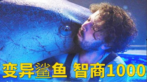 深海狂鲨2在线观看,惊涛骇浪，生死搏击  第2张