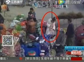 小新爆料视频在哪看,一网打尽热门内容