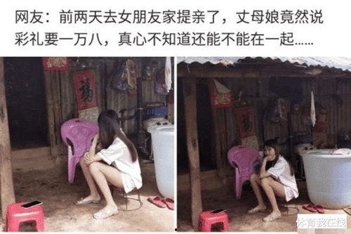 锤子丈母娘爆料视频播放,揭秘家庭背后的故事