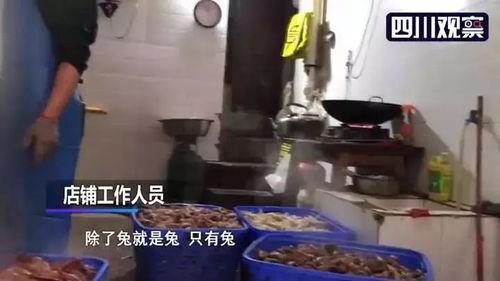 手撕烤兔爆料视频播放,揭秘传统美食制作全过程 第3张 手撕烤兔爆料视频播放,揭秘传统美食制作全过程 第3张