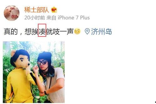 卓伟爆料张子怡视频播放,真相背后引人深思  第2张