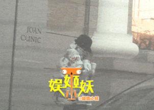 卓伟爆料张子怡视频播放,真相背后引人深思  第3张