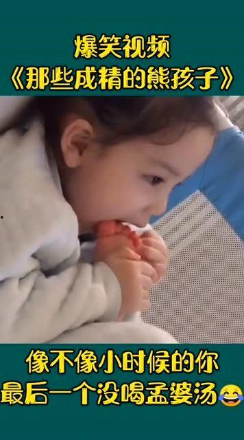 熊孩子爆料视频搞笑