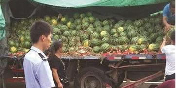 沂水吃瓜网红事件始末,从网络热议到真相揭晓的曲折历程