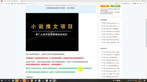 视频爆料玩法介绍大全图片,全方位玩法介绍大全图鉴  第2张