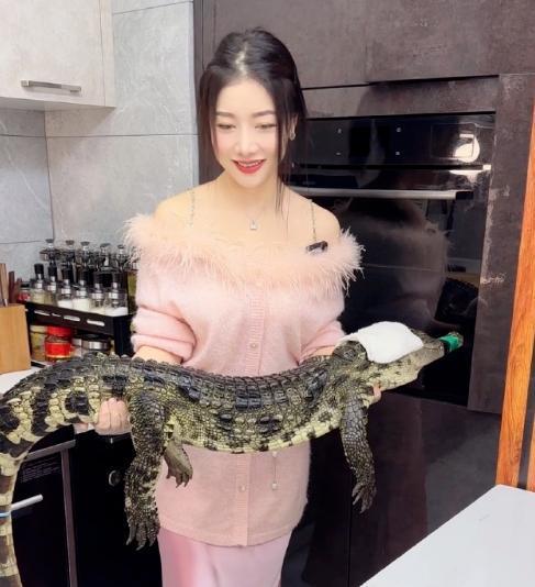 小厨娘被爆料视频大全,视频大全回顾