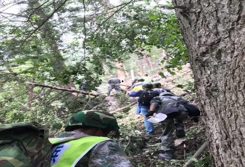 翻山越岭爆料新闻视频下载,新闻视频下载背后的故事  第2张