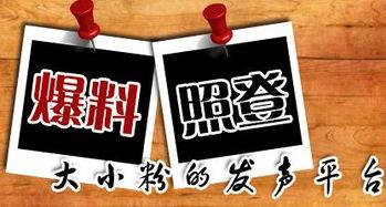 寮步新闻爆料,聚焦热点事件，揭示社会现象