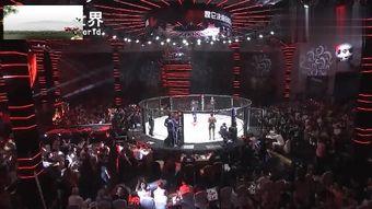 中国队友爆料视频大全集,揭秘幕后故事与精彩瞬间