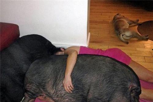 娱乐吃瓜酱女生走向世界,女生如何走向世界舞台  第3张