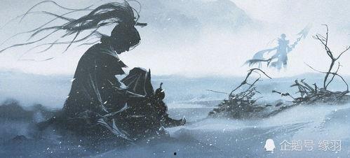 探幽最新爆料视频,揭秘神秘事件背后的惊人真相