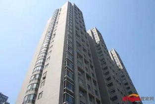 石家庄长安爆料最新消息,揭秘城市热点事件背后真相  第2张