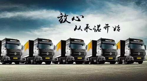 东丰物流爆料最新消息,揭秘行业动态与重大事件