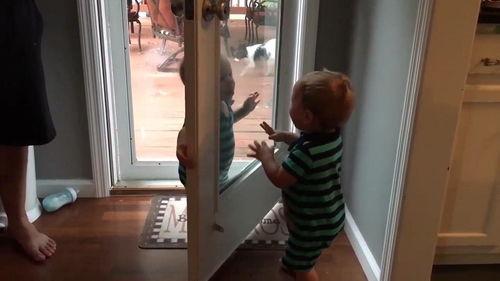 双胞胎相互爆料视频,爆笑视频引网友热议