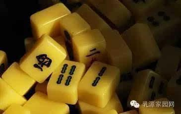 麻将配料爆料方法视频,跟随视频学习独家爆料技巧  第2张