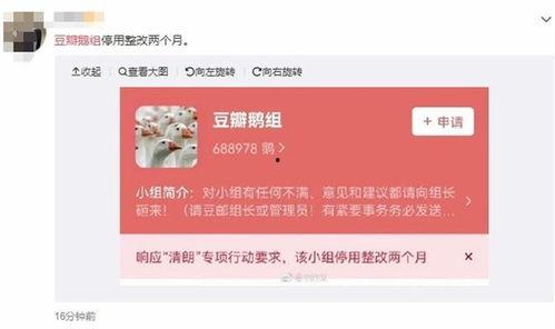 八卦最新事件爆料,揭秘最新娱乐圈惊天事件内幕  第3张