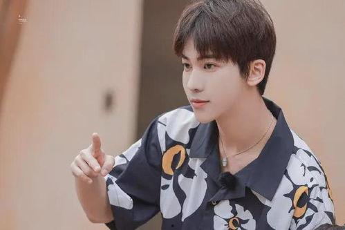 丁泽仁爆料视频,娱乐圈背后的惊人真相  第2张