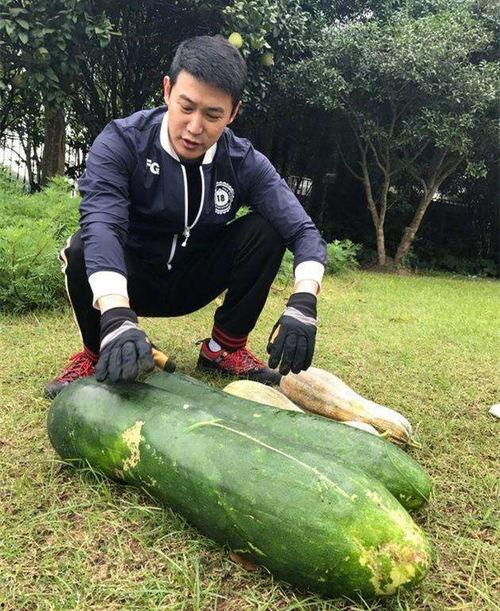 新乡大瓜爆料视频,一场惊心动魄的真相大曝光  第3张