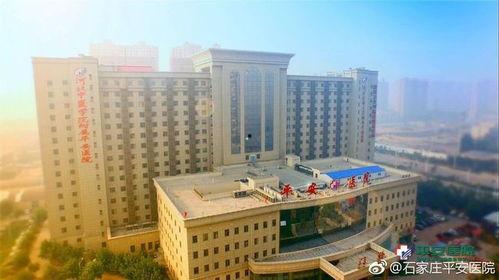 河北护士爆料视频最新,揭露医院内部惊人真相