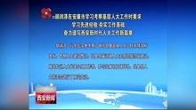 陕西西安新闻爆料事件,揭秘当地最新热点事件