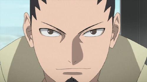 忍界鹿丸爆料视频大全,鹿丸爆料视频大全揭秘忍界秘闻  第3张