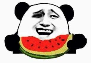 逗尔娱乐吃瓜看点在哪看,揭秘热门话题,一键掌握精彩瞬间 第3张 逗尔娱乐吃瓜看点在哪看,揭秘热门话题,一键掌握精彩瞬间 第3张