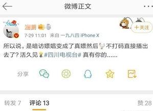 四川爆料的视频,一场惊心动魄的幕后故事  第3张