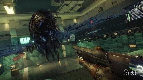 掠食猛兽爆料视频大全集,揭秘大自然生死较量