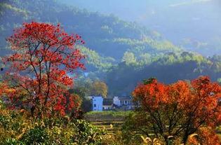 美妙的春天秋天全集在线观看,美妙的四季之旅  第2张
