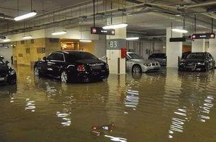 暴雨车库爆料视频最新,车库惊现惊人一幕！  第3张